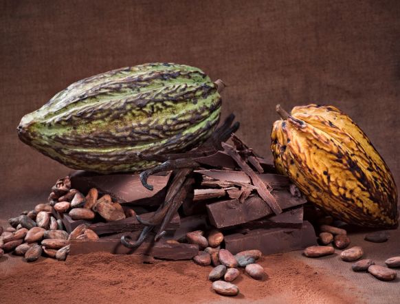 Cargill investit 18 millions d’euros en Wallonie dans son innovante « Maison du chocolat » 